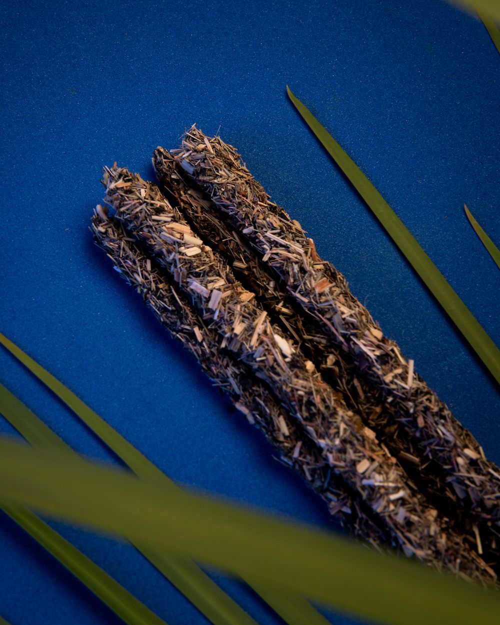 5 Elements Water - Rebirth