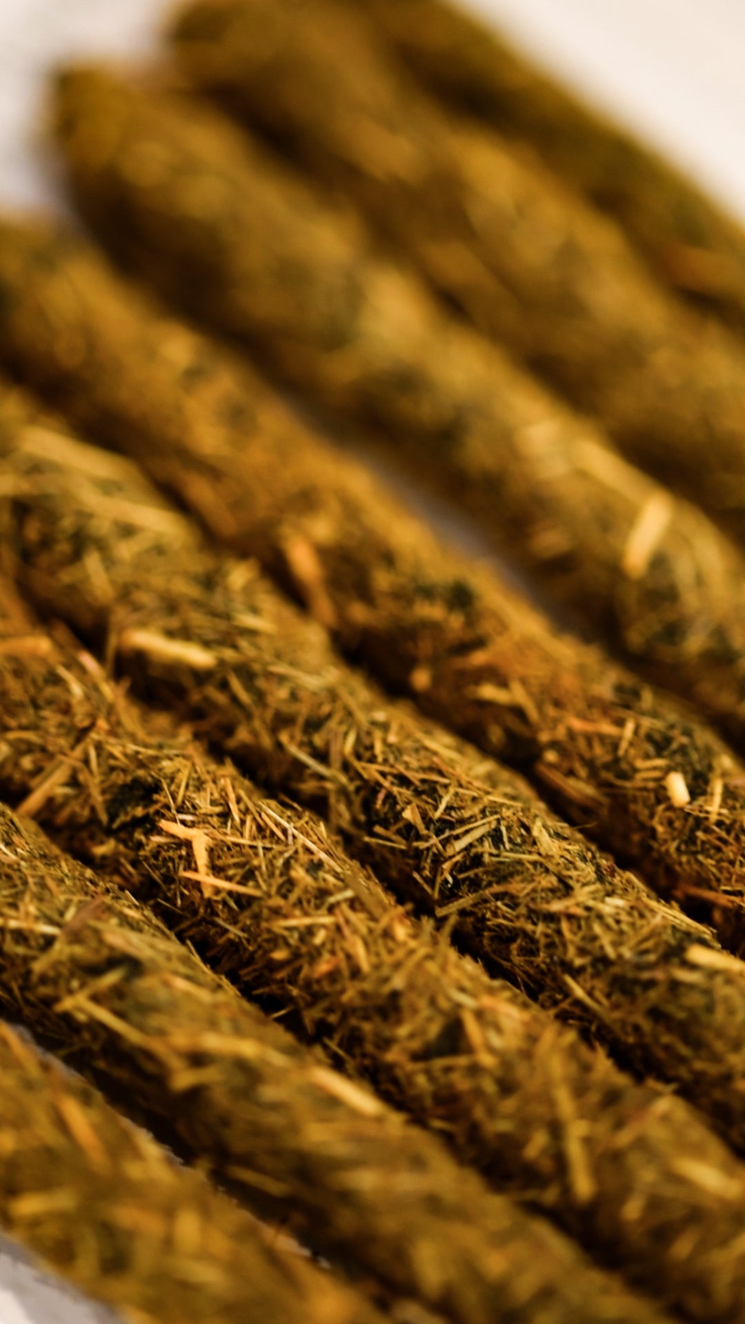 Incense Oracle of Green Witch Lilies and White Tea