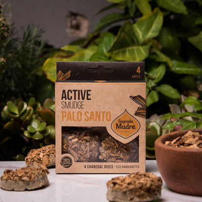 Charcoal Disk X4 Palo Santo