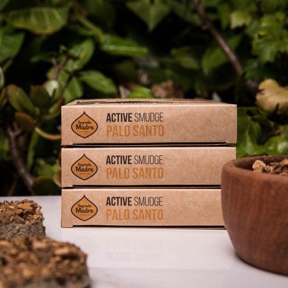 Charcoal Disk X4 Palo Santo