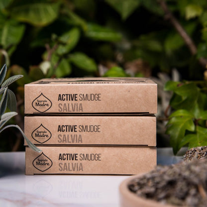 Charcoal Disk X4 Salvia (White Sage)