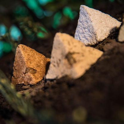 Incense Energetic Pyramid X4 Olibanum - Pure