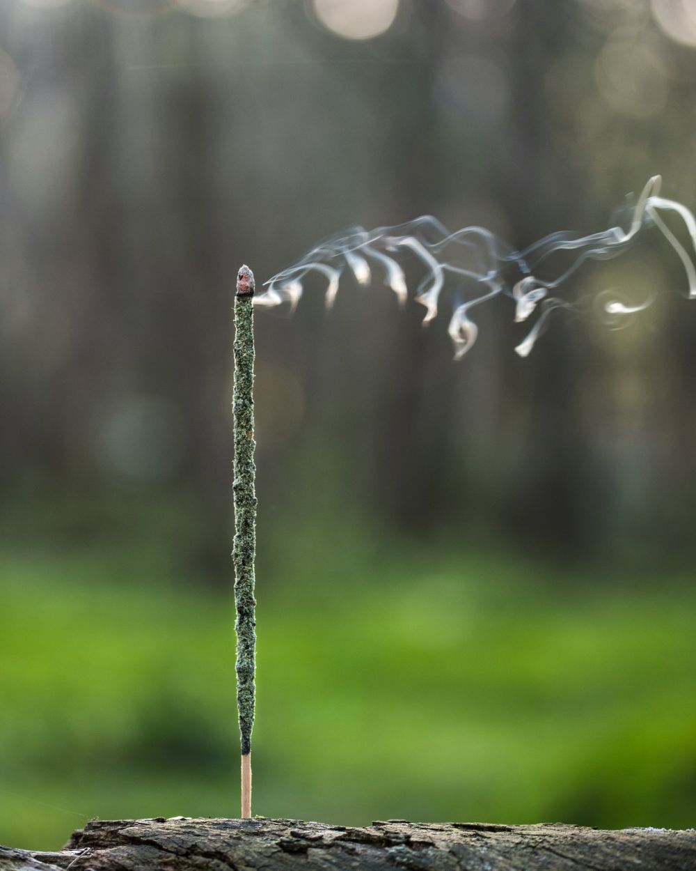 Incense Maha Masala Gaia