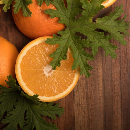 Natural Citronella, Orange, and Palo Santo