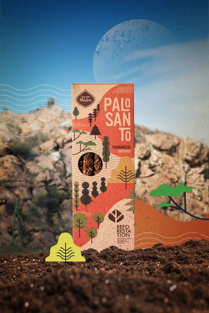 Palo Santo Sustainable Short X4 Olibanum